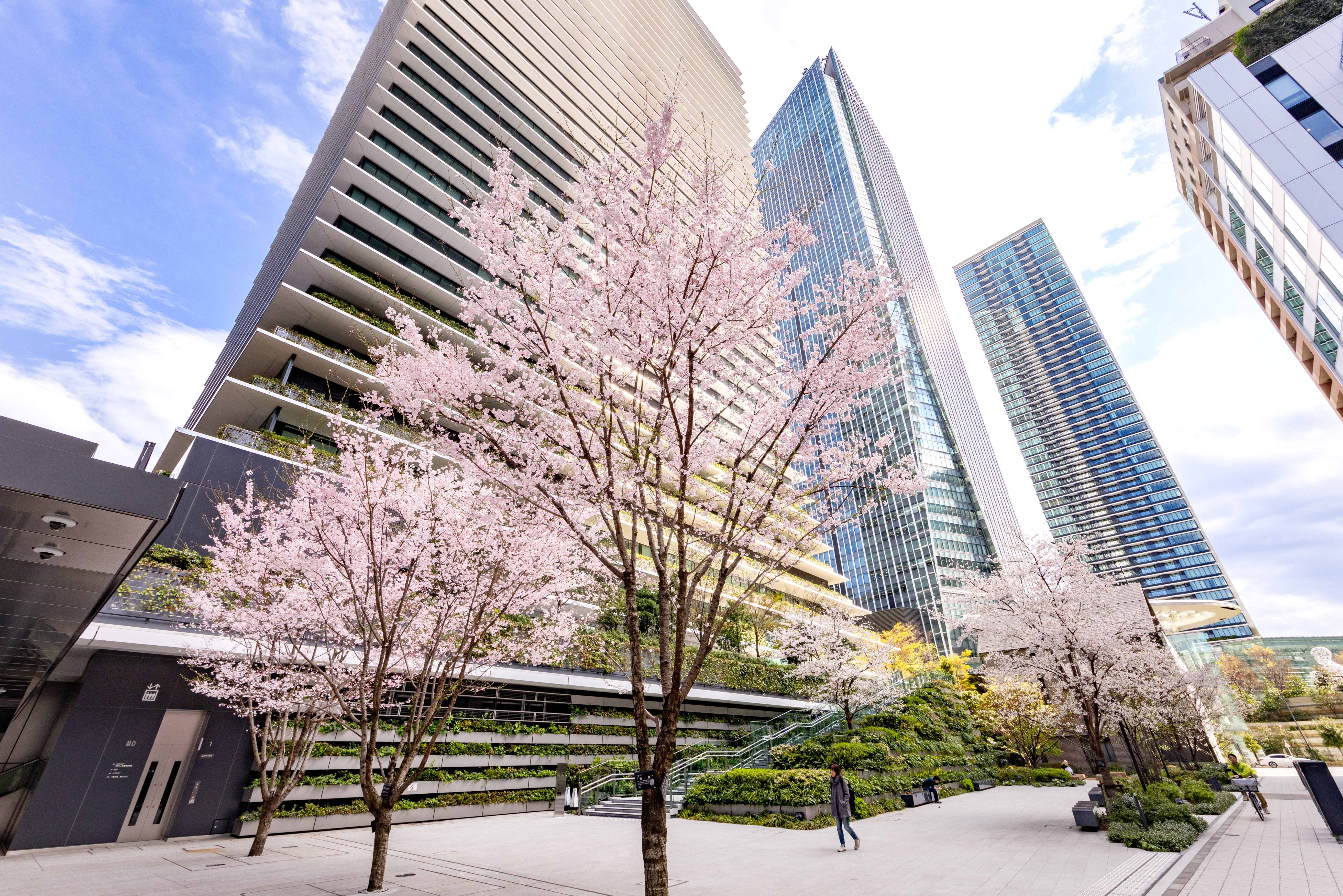 Toranomon Hills Sakura